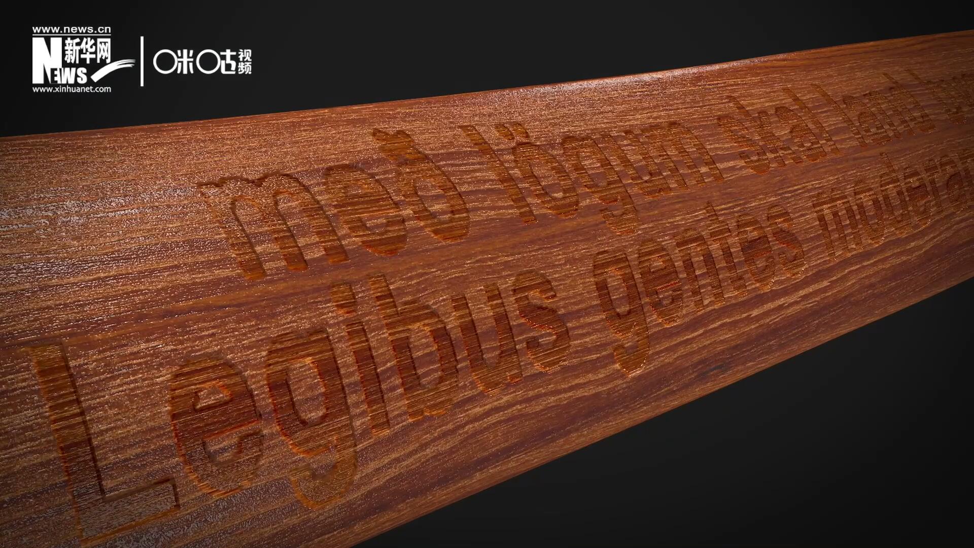 這把木槌尺寸超大、顏色棕紅、精雕細刻，上面刻有&ldquo;社會必須建立在法律的基礎(chǔ)上&rdquo;。