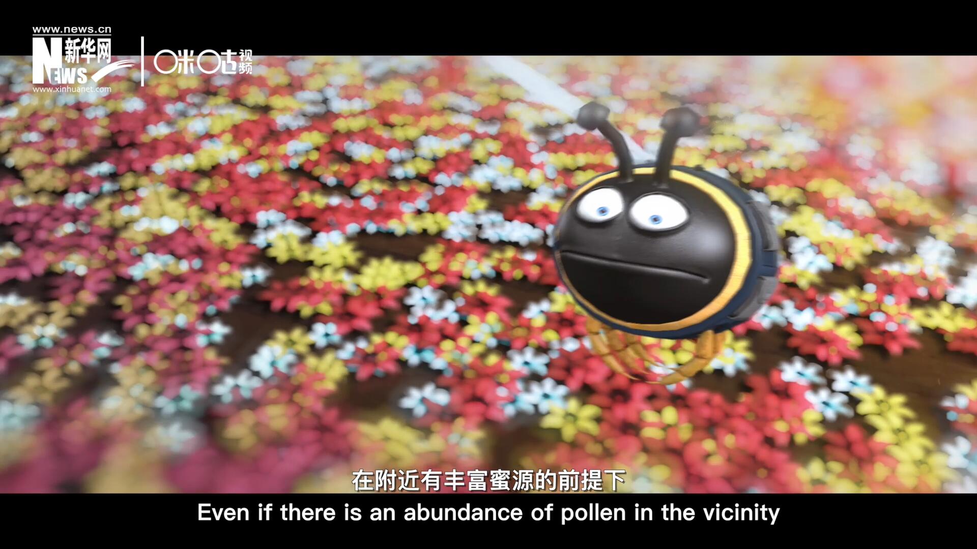 你知道一只蜜蜂采一公斤蜜有多辛苦嗎？據(jù)統(tǒng)計(jì)，在附近有豐富蜜源的前提下，一只蜜蜂大約需要飛行四萬(wàn)千米