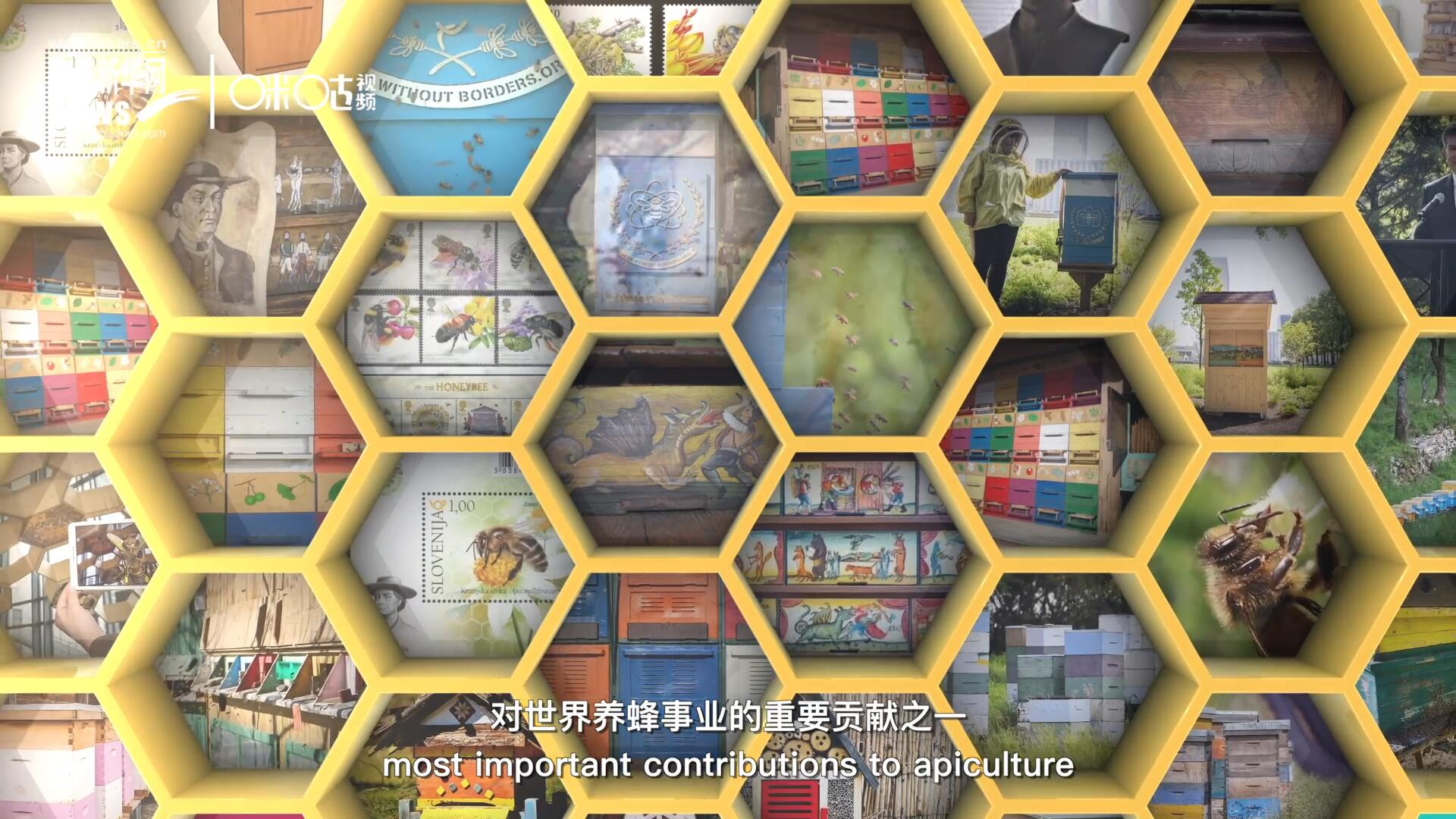 他開(kāi)始用色彩豐富的畫(huà)作來(lái)裝飾蜂巢的前板，幫助不同蜂群按照習(xí)性和顏色順利找到自己的蜂巢