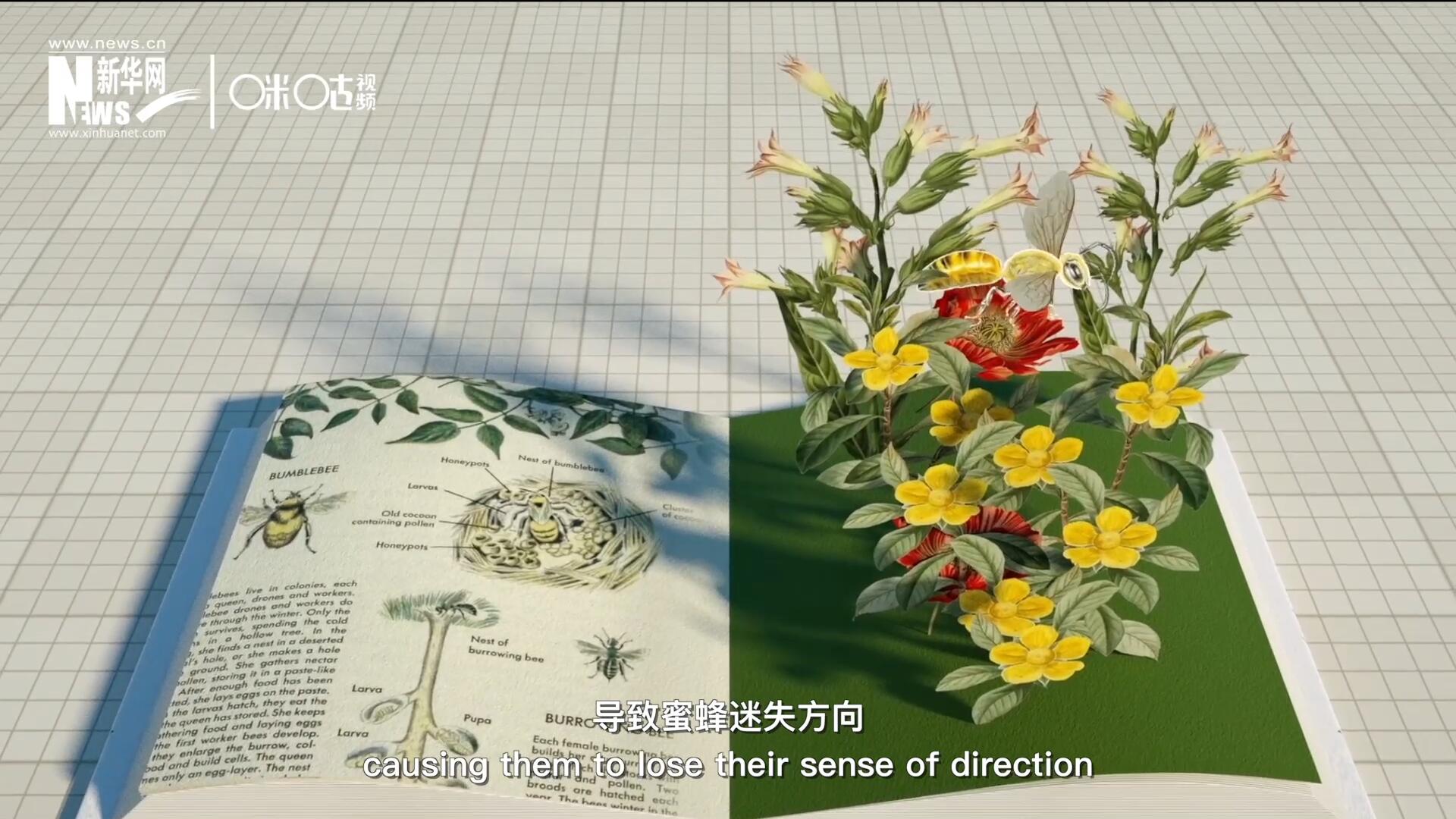 殺蟲(chóng)劑會(huì)破壞蜜蜂的神經(jīng)系統(tǒng)，導(dǎo)致蜜蜂迷失方向，無(wú)法回到蜂房，還會(huì)降低蜜蜂的抵抗力
