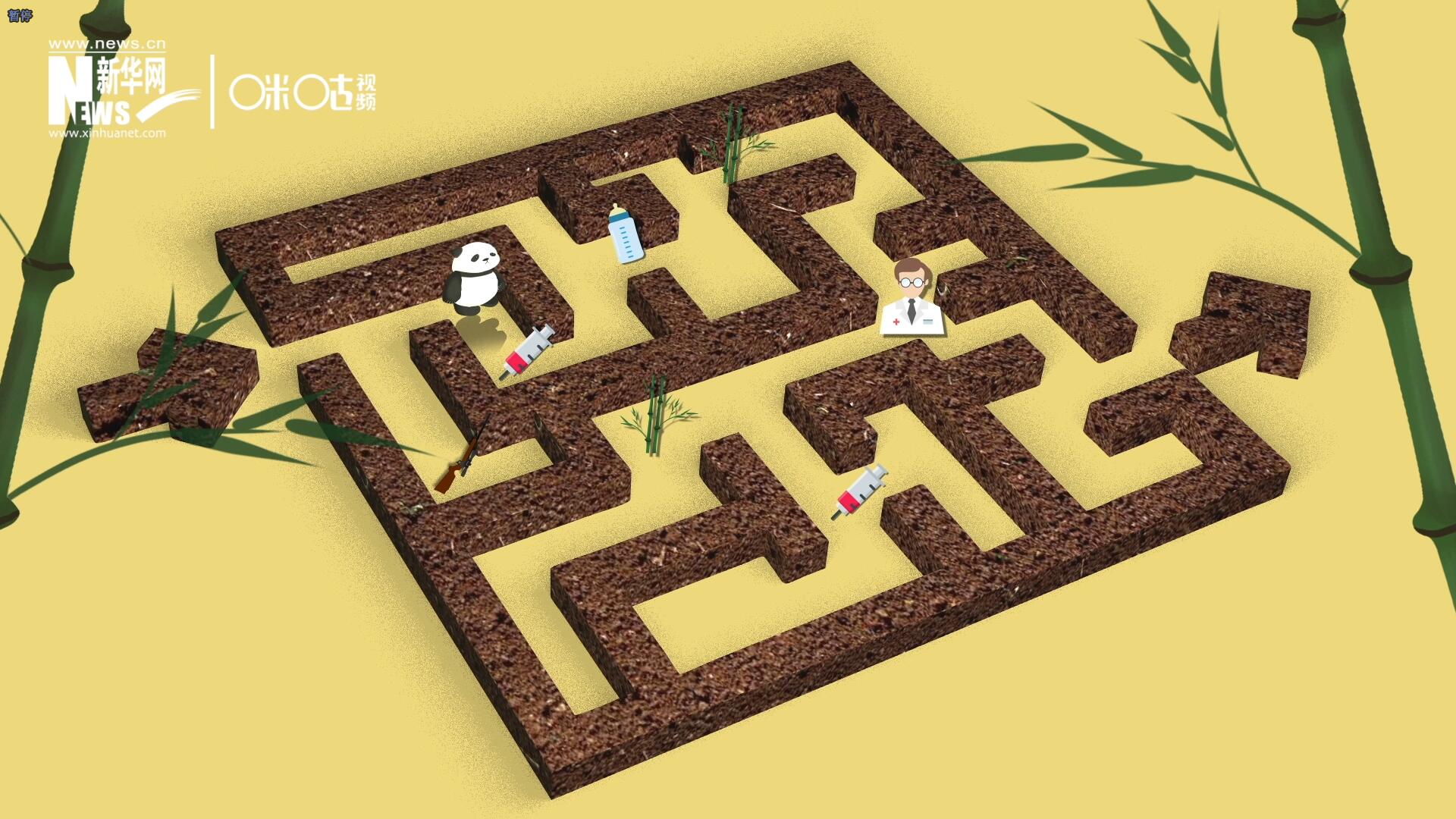 2016年，國際自然保護聯(lián)盟將大熊貓的物種瀕危等級，從&ldquo;瀕危&rdquo;下降到了&ldquo;易危&rdquo;。