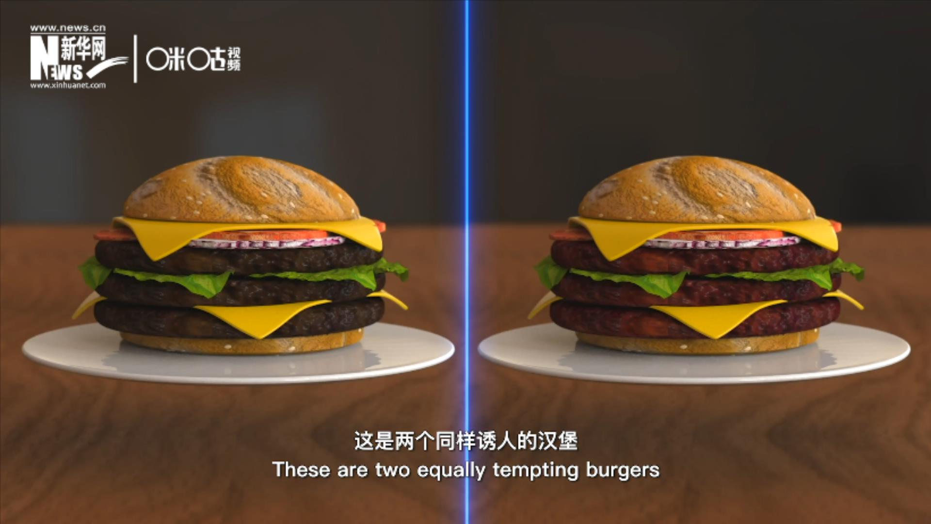 人造肉漢堡能在生產(chǎn)過(guò)程中節(jié)約水、土地、排放以及能量