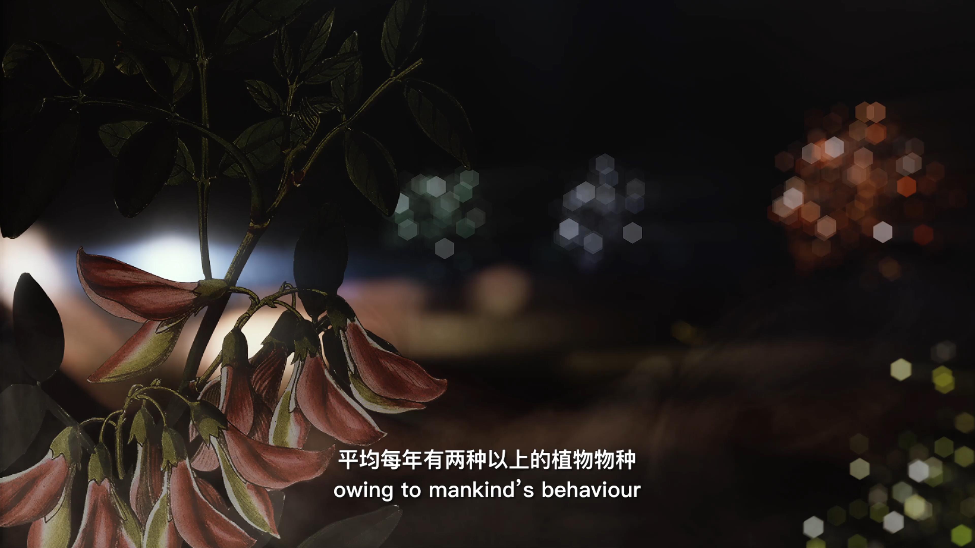 自18世紀(jì)中葉以來，許多植物物種因為人類的原因而從地球上消失