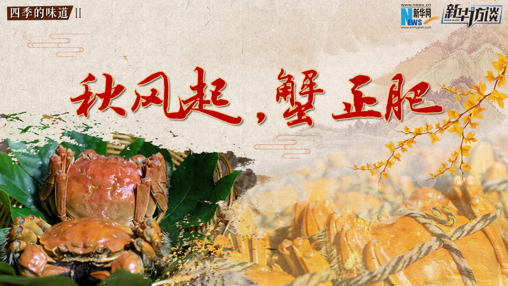 秋風(fēng)起，蟹正肥