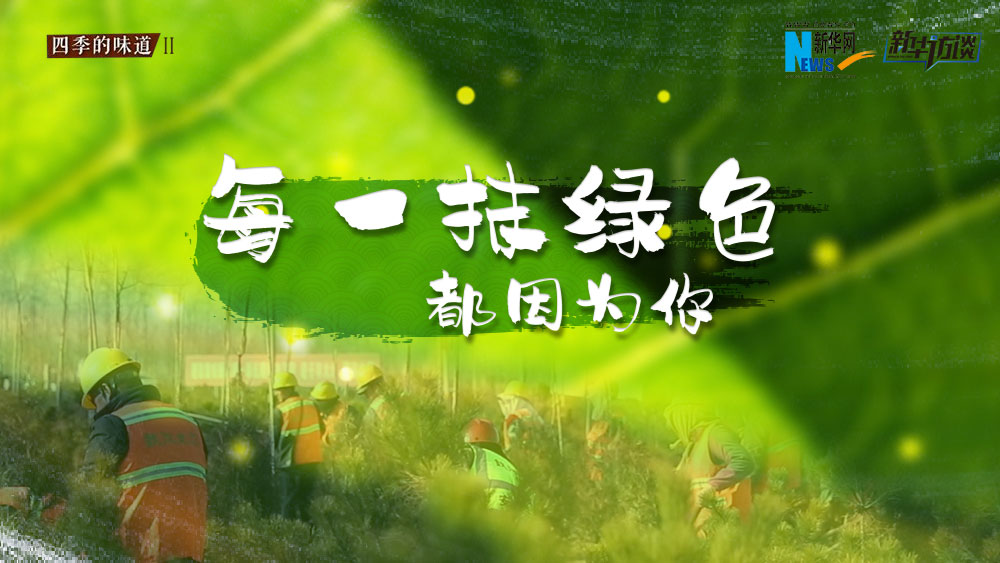 千年秀林，每一抹綠色都因?yàn)槟? /></p>
<p class=