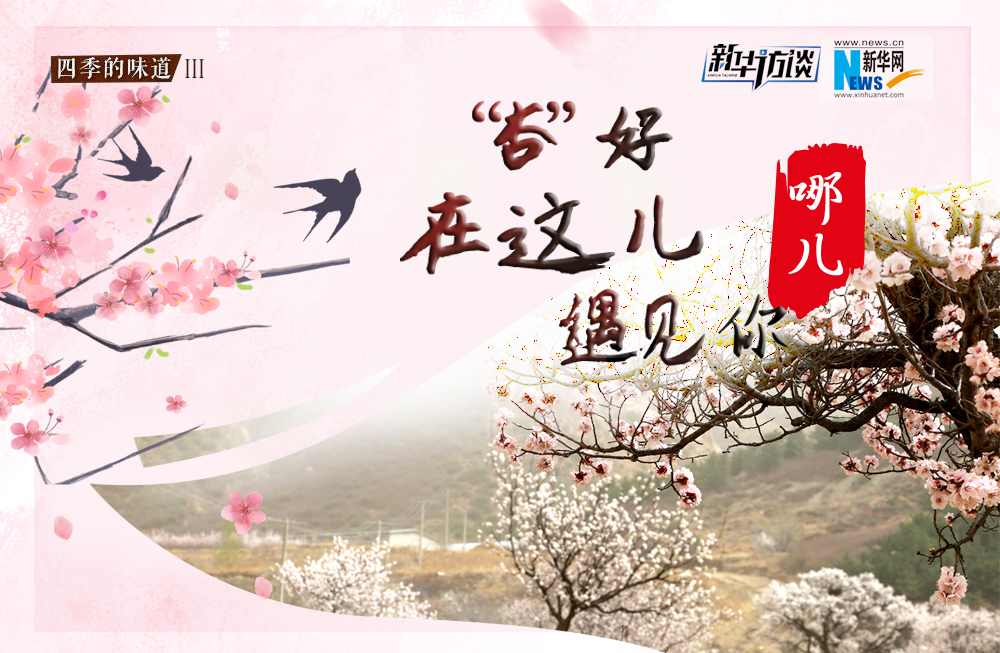 哪兒？&ldquo;杏&rdquo;好在這兒遇見你！