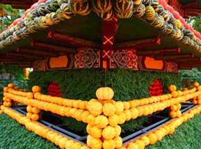 走進(jìn)壽光&ldquo;菜博會(huì)&rdquo;感受科技蔬菜種植(高清)