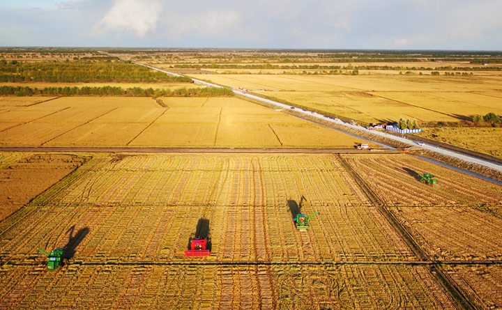 黑龍江：黑土地上書(shū)寫(xiě)&ldquo;春天的答卷&rdquo;