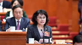 中國殘疾人聯(lián)合會主席團主席，北京2022年冬奧會和冬殘奧會組織委員會執(zhí)行主席、黨組副書記 張海迪