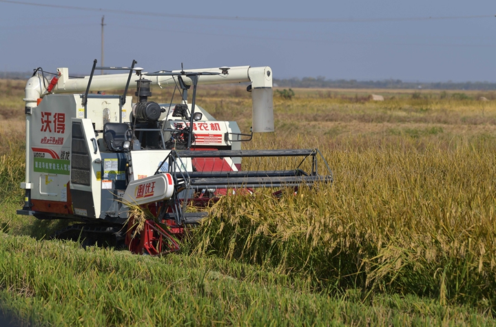 新華社評論員:穩(wěn)固耕地基本盤，打好種業(yè)翻身仗