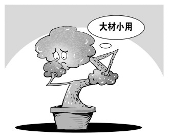 自認(rèn)&ldquo;大材小用&rdquo;，不如腳踏實(shí)地