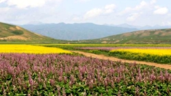 臺(tái)灣女企業(yè)家耕耘十年終圓&ldquo;香草夢&rdquo;