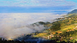 臺(tái)胞臺(tái)商熱議陜西惠臺(tái)&ldquo;60條&rdquo;：期盼落實(shí)、共享機(jī)遇