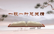 《平&ldquo;語(yǔ)&rdquo;近人&mdash;&mdash;習(xí)近平總書記用典》（第一集）一枝一葉總關(guān)情