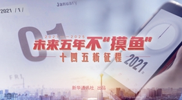 未來五年，不&ldquo;摸魚&rdquo;