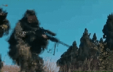 突入，擊斃！直擊武警特戰(zhàn)反劫持演練！