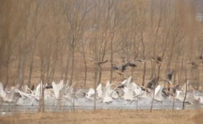 為您守&ldquo;候&rdquo;