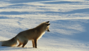 寒潮再襲 網(wǎng)友靈魂拷問：這么冷為何還不下雪？