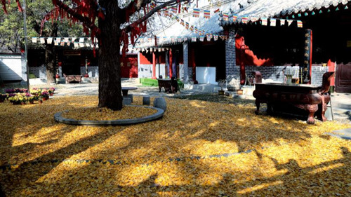 臨沂小伙回老家，爹媽往后備箱里塞活豬