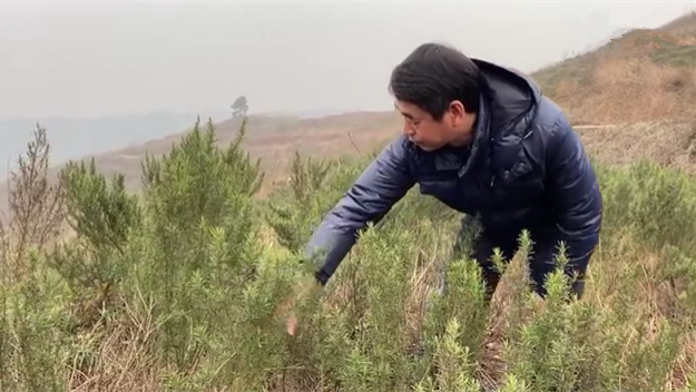 新春走基層｜脫貧后，駐村扶貧隊(duì)長(zhǎng)在干啥？