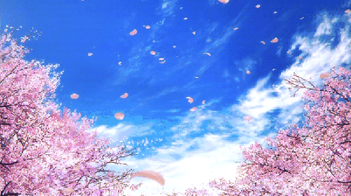 寧波這個(gè)地方早櫻花開成海，滿足你對(duì)春天的所有想象