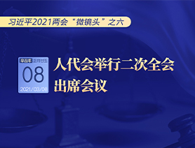 習(xí)近平2021兩會&ldquo;微鏡頭&rdquo;之六：人代會舉行二次全會 出席會議