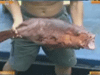 [新聞1+1] 走，南沙捕魚去！