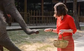 勐巴拉娜西！&ldquo;洋記者&rdquo;帶你游西雙版納