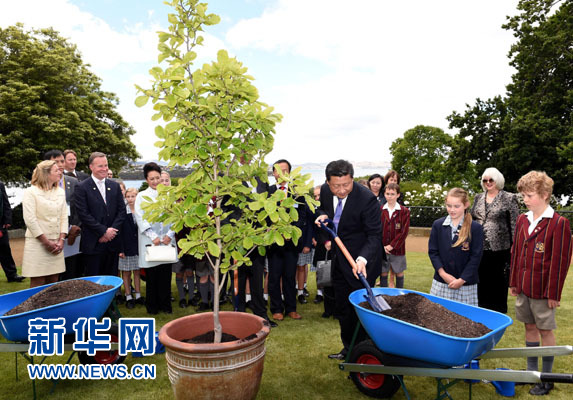 11月18日，國家主席習(xí)近平在澳大利亞塔斯馬尼亞州與朗塞斯頓市斯科奇－歐克伯恩小學(xué)的小學(xué)生共同植樹。新華社記者 饒愛民 攝