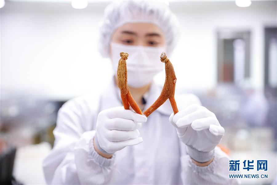 （國際&middot;一周看天下）高麗參