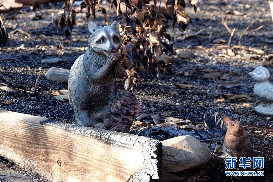 （國際&middot;圖文互動）（4）一場山火，讓這個冬天格外冷&mdash;&mdash;探訪美國加州山火災(zāi)區(qū)