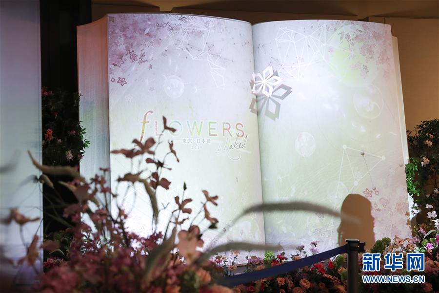 （國(guó)際）（6）日本東京：寒冬時(shí)節(jié)賞&ldquo;繁花&rdquo; 