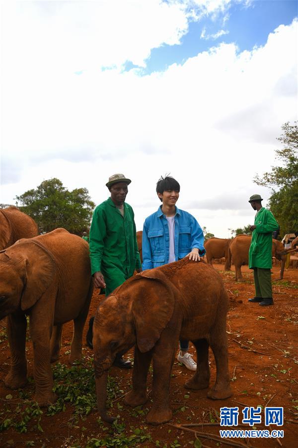 （國際&middot;圖文互動）（3）專訪：環(huán)保要以身作則 從身邊小事做起&mdash;&mdash;訪聯(lián)合國環(huán)境署親善大使王俊凱