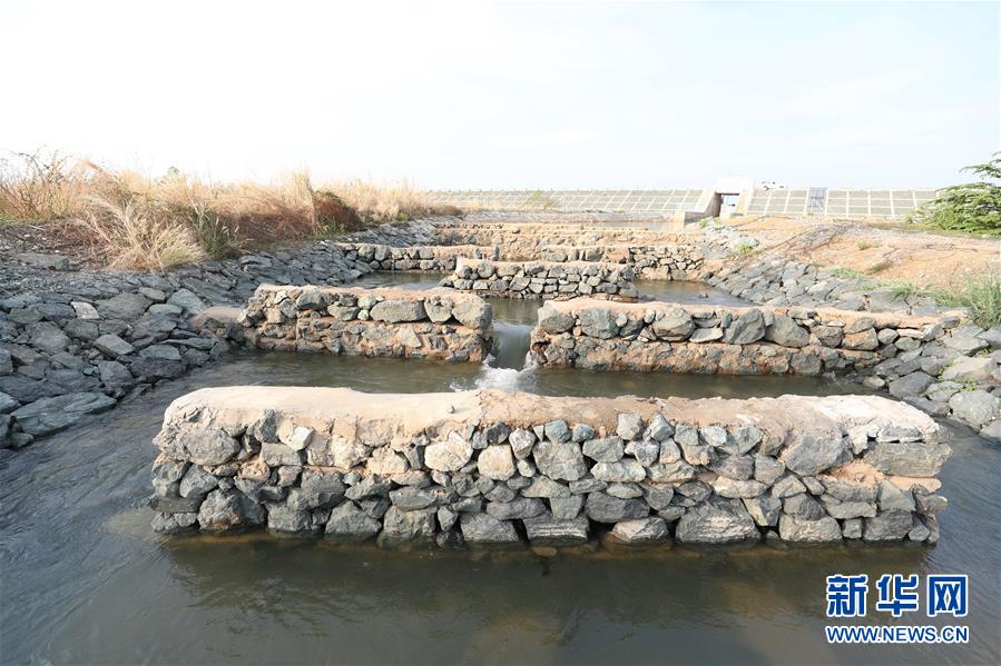 （國際&middot;&ldquo;一帶一路&rdquo;高峰論壇&middot;圖文互動(dòng)）（1）通訊：為魚兒保障回家的路&mdash;&mdash;中國水電工程助力柬埔寨綠色發(fā)展