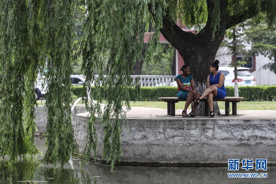 （中非團(tuán)結(jié)抗疫故事&middot;圖文互動）（5）坦桑尼亞留學(xué)生譚麗：離家千里 生活一樣溫暖而多彩