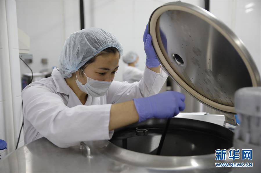 （國際&middot;圖文互動）（5）從&ldquo;先遣隊&rdquo;到&ldquo;正規(guī)軍&rdquo;&mdash;&mdash;哈薩克斯坦駱駝奶粉入華記