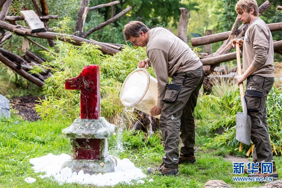 （國際）（2）德國柏林動(dòng)物園為大熊貓雙胞胎慶生