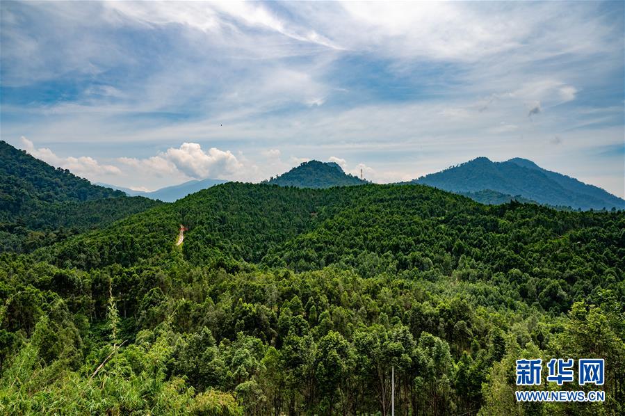 （第三屆進(jìn)博會&middot;圖文互動）（2）專訪：進(jìn)博會提供了一個共享中國發(fā)展機遇的平臺