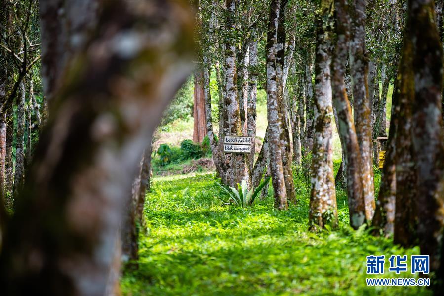 （第三屆進(jìn)博會&middot;圖文互動）（3）專訪：進(jìn)博會提供了一個共享中國發(fā)展機遇的平臺