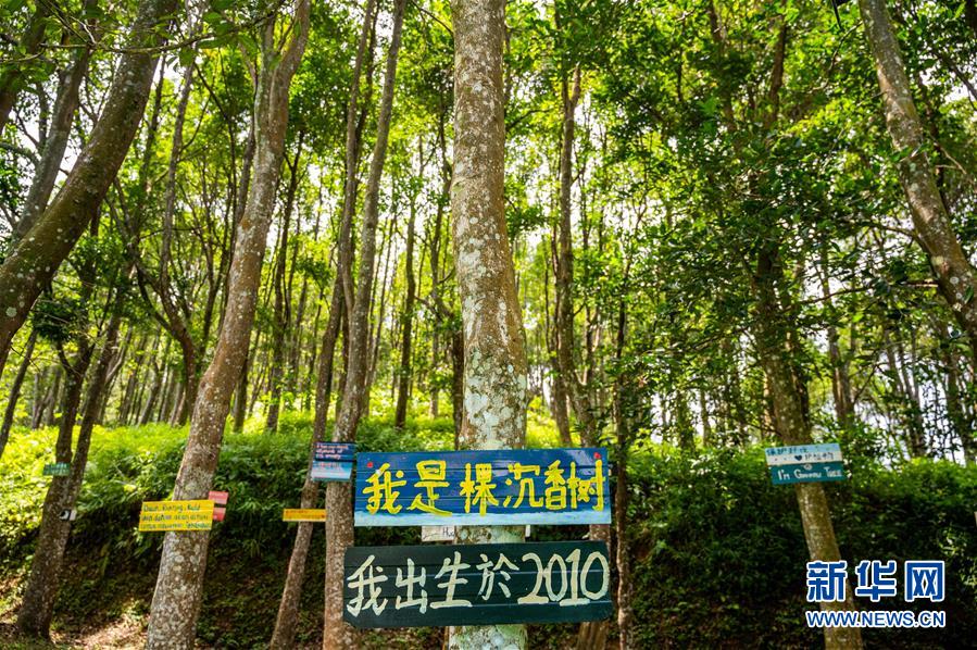 （第三屆進(jìn)博會&middot;圖文互動）（10）專訪：進(jìn)博會提供了一個共享中國發(fā)展機遇的平臺