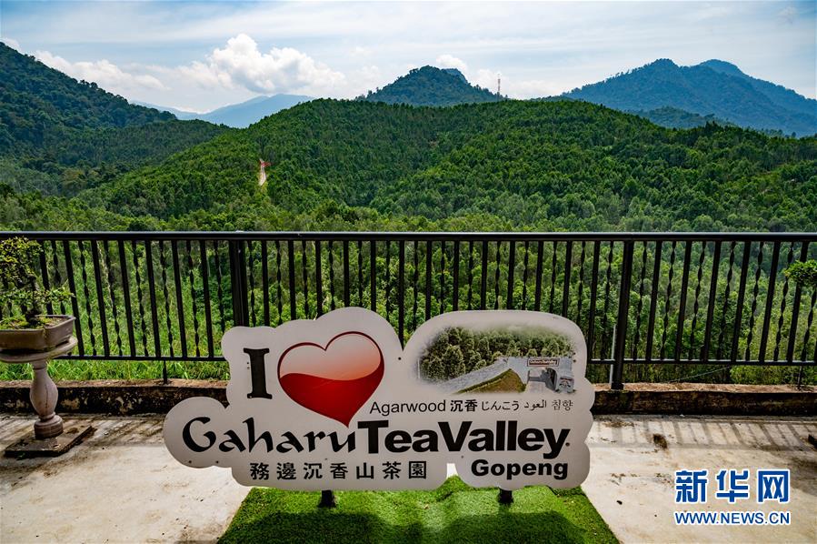 （第三屆進(jìn)博會&middot;圖文互動）（11）專訪：進(jìn)博會提供了一個共享中國發(fā)展機遇的平臺