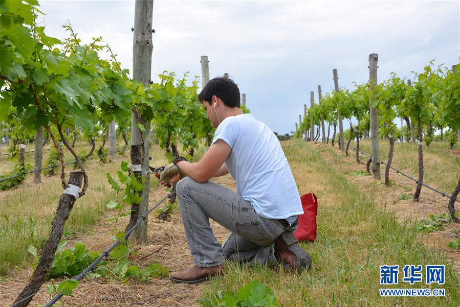 （第三屆進(jìn)博會(huì)&middot;圖文互動(dòng)）（7）專訪：進(jìn)博會(huì)是了解中國市場的好機(jī)會(huì)&mdash;&mdash;訪澳大利亞諾瓦維塔葡萄酒集團(tuán)創(chuàng)始人卡臣