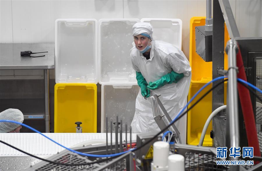 （第三屆進博會&middot;圖文互動）（2）通訊：新西蘭的進博會味道，甜