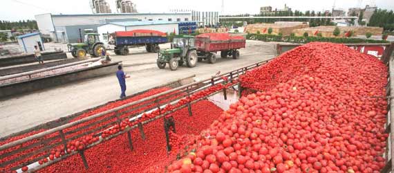 中國推動構(gòu)建共贏、互信、發(fā)展的新絲綢之路