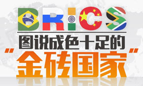 圖說(shuō)成色十足的&ldquo;金磚國(guó)家&rdquo;