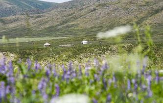 搬離大山&ldquo;天地寬&rdquo;