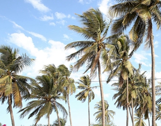 &ldquo;西非門戶&rdquo;塞內(nèi)加爾