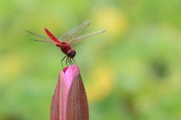 2019，精&ldquo;彩&rdquo;紛呈