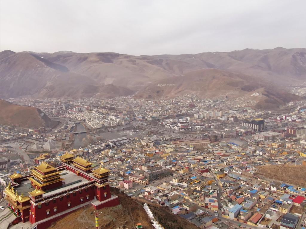 震后11年，玉樹正芳華