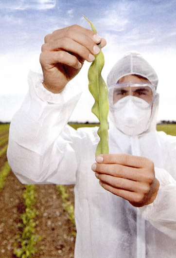 轉(zhuǎn)基因&ldquo;轉(zhuǎn)&rdquo;的是什么？